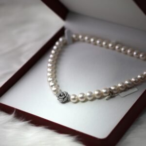 Collar Lumière